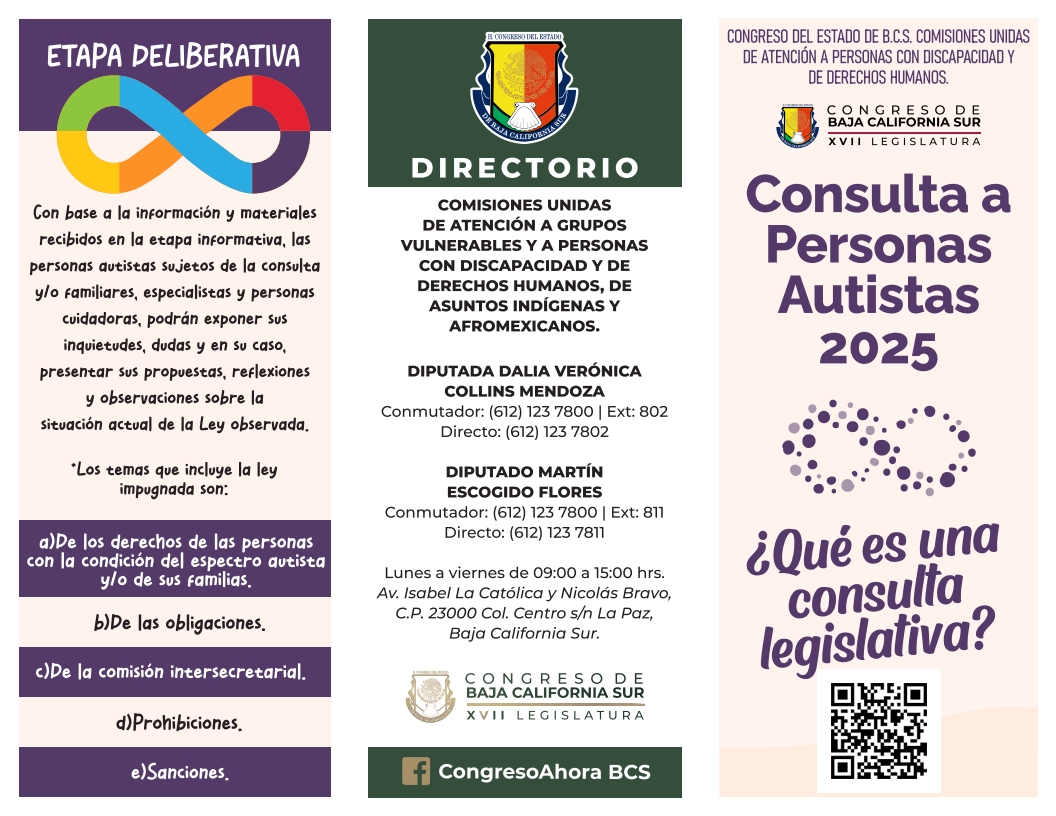 triptico_consulta