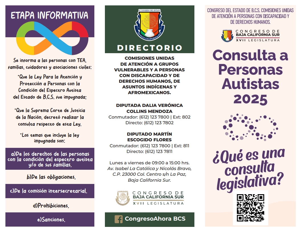 triptico_consulta