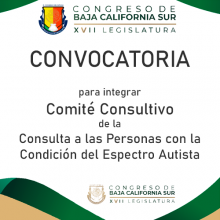Convocatoria para Integrar el Comité Consultivo