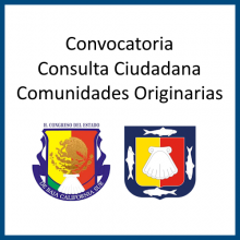 Convocatoria Consulta Ciudadana Comunidades Originarias