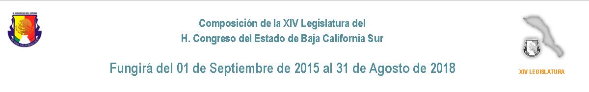BANNER-COMPOSICION-XIV