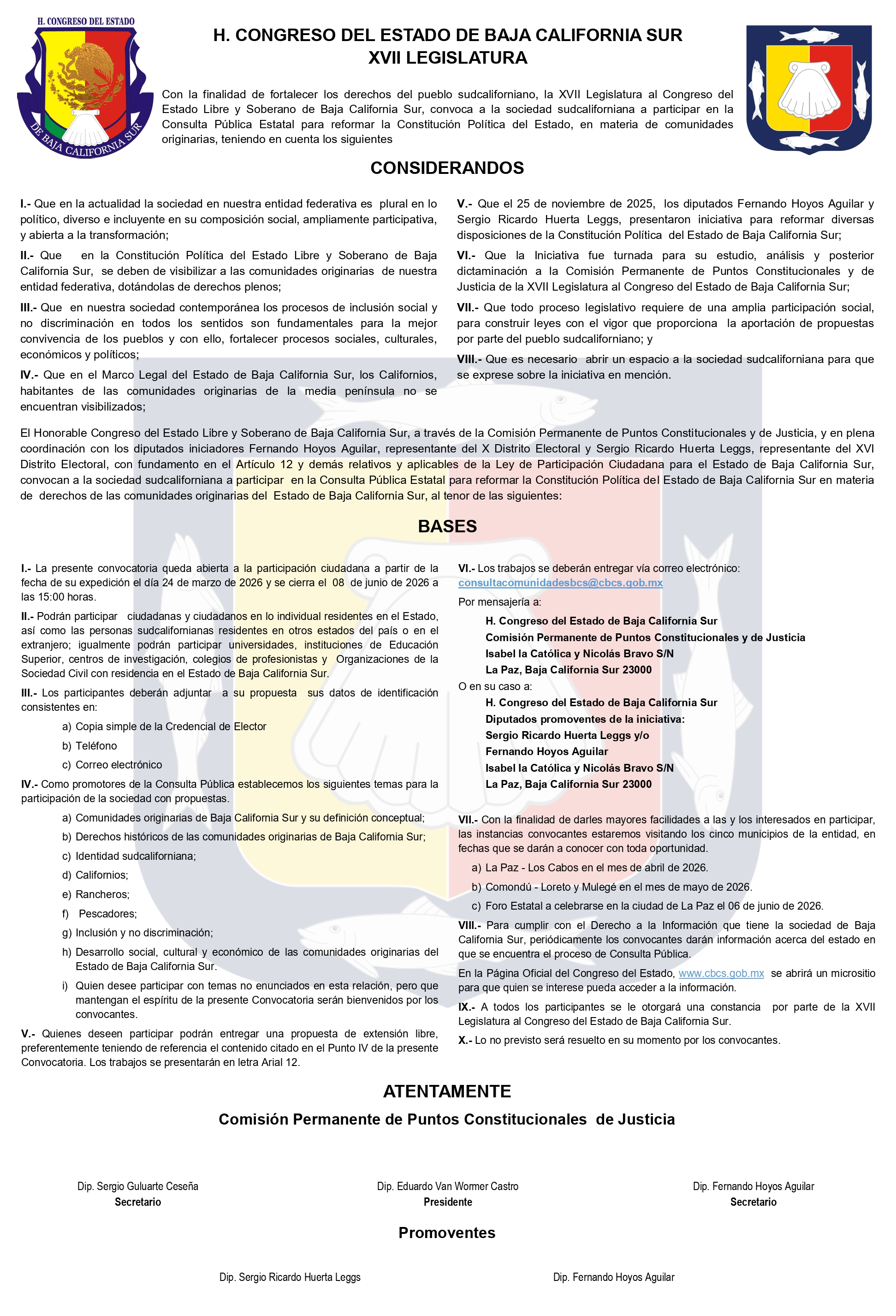 consultaCiudadanaComunidadesOriginarias