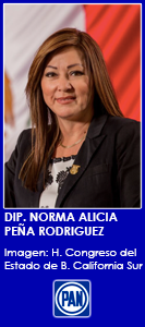 NORMA ALICIA PENA RODRIGUEZ PAN CP