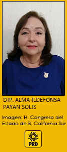 ALMA ILDEFONSA PAYAN SOLIS