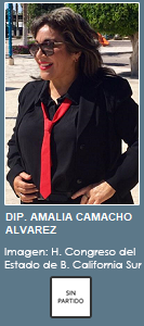 AMALIA CAMACHO ALVAREZ