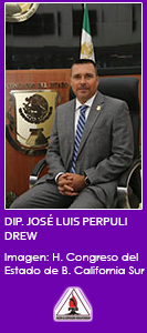 JOSE PERPULLI DREW old
