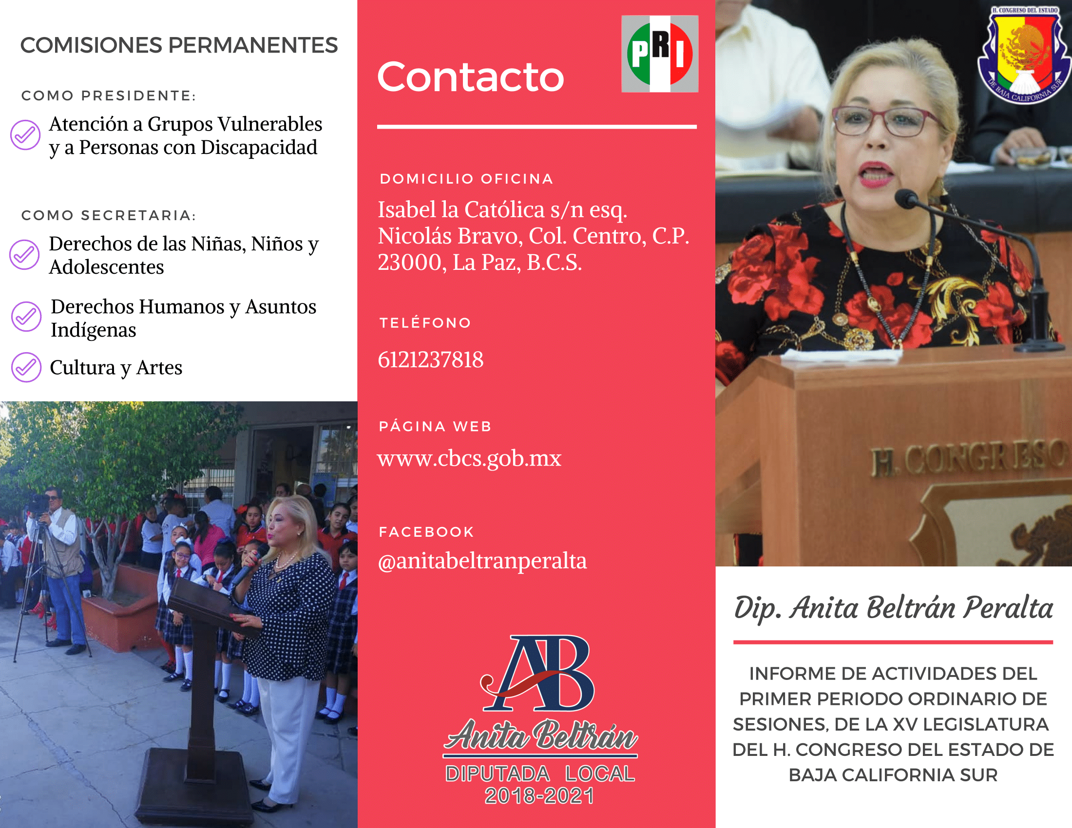 TRÍPTICO ABP 1