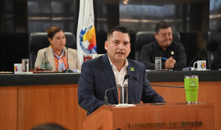 Proponen como delito el abandono de animales domésticos...