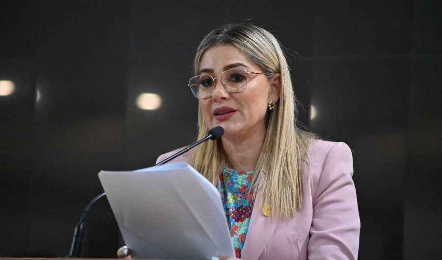 Queda integrado el Comité de Participación Ciudadana del Sistema Anticorrupción del Estado de Baja California Sur...