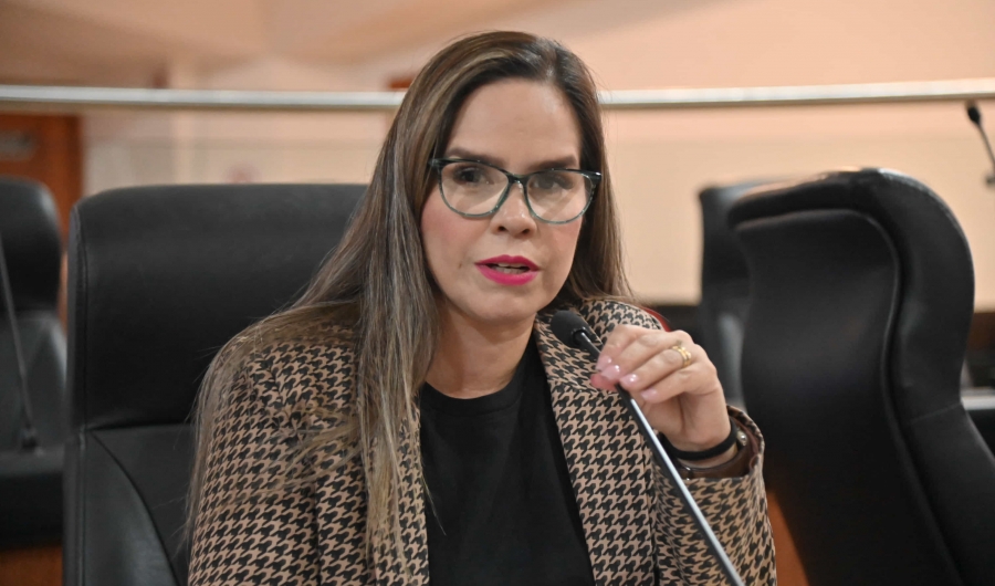 Llaman a la CFE para que facture mensualmente a usuarios...