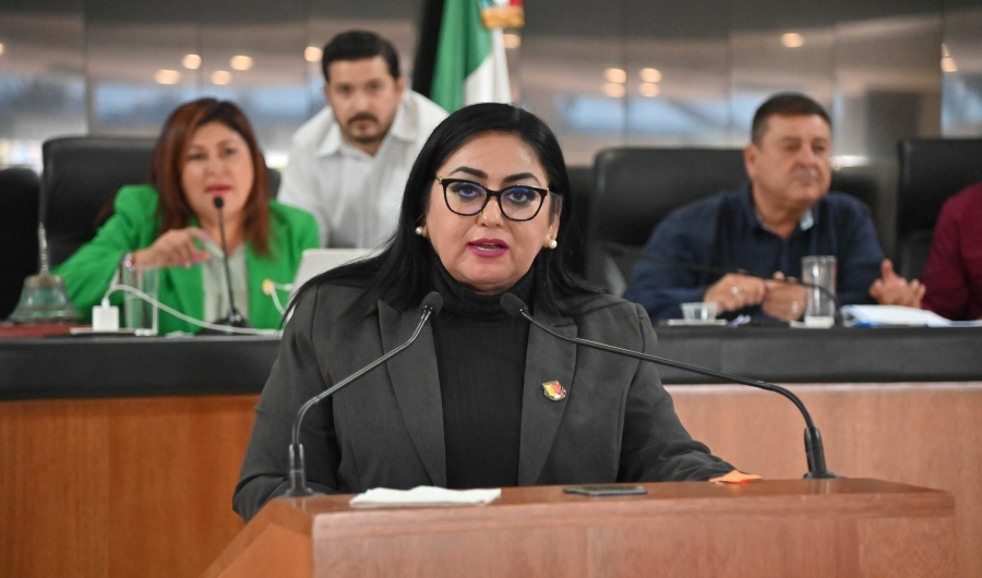 Proponen reformas para garantizar la implementación del “Turismo Accesible” en BCS...