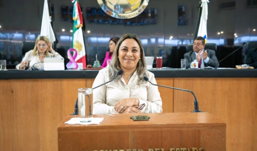 Modifican decreto de la Medalla Rosaura Zapata para reconocer también a personal administrativo y de apoyo  ....
