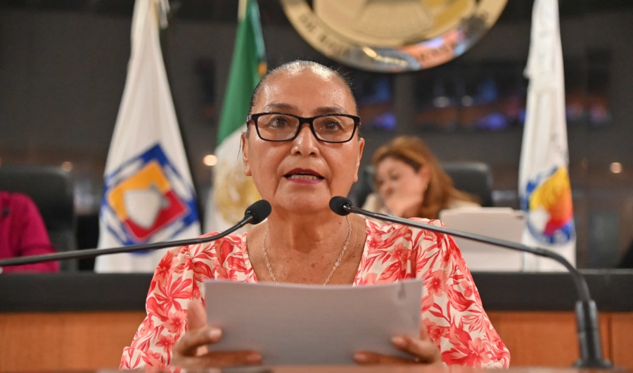 Se pronunció la diputada Guillermina Díaz Rodríguez para que se trabaje en una política social en favor de las personas de la tercera edad...