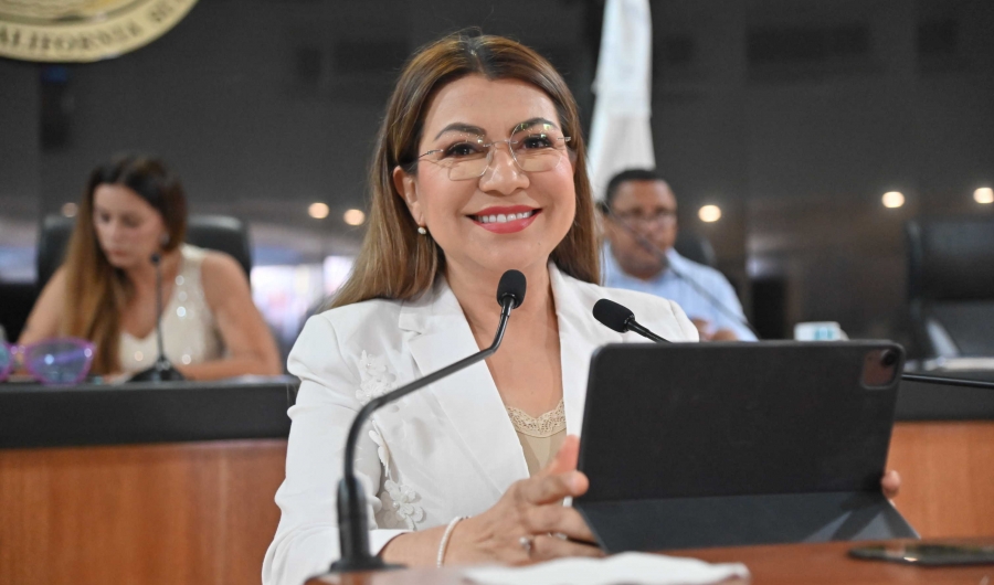 Se pronunció la diputada Saldaña Cisneros en contra de la iniciativa denominada, Ley Censura...