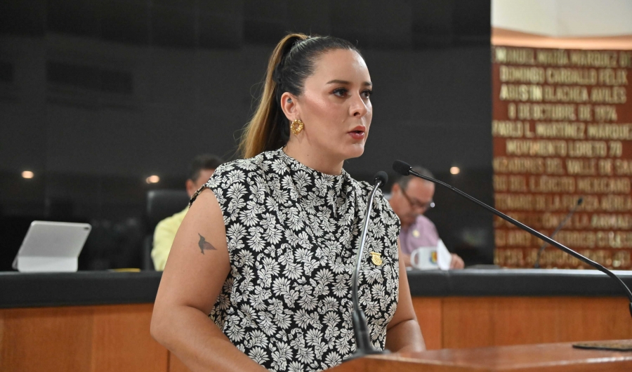 Diputada Arlene Moreno Maciel presenta iniciativa para fortalecer la seguridad en eventos deportivos en BCS...