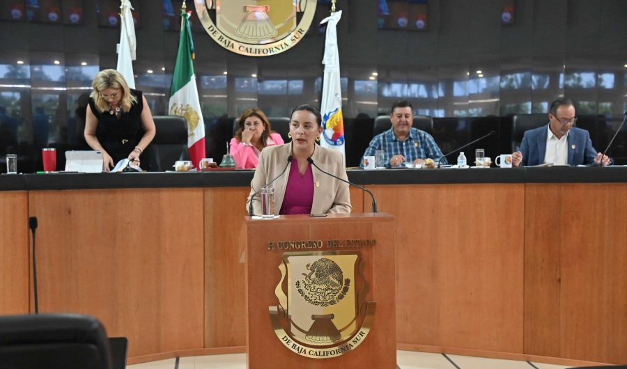 Proponen reformas en materia de protección a la salud mental de abuelas y abuelos en el núcleo familiar...