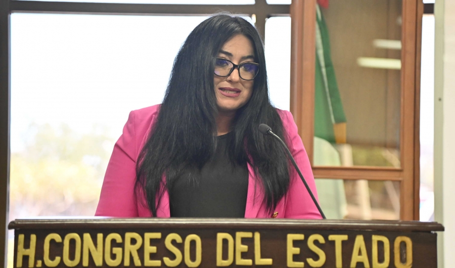 Proponen exhortan al titular del INSUDE otorgue becas deportivas a personas con discapacidad mayores de 23 años...