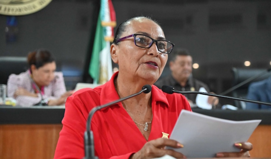 Pide Congreso a la Secretaría de Salud que intensifique la fumigación contra el mosquito en BCS  ...