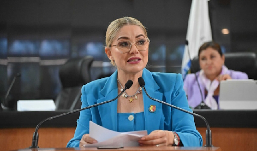 Propone  armonizar la legislación local en materia de protección de datos personales  ... 