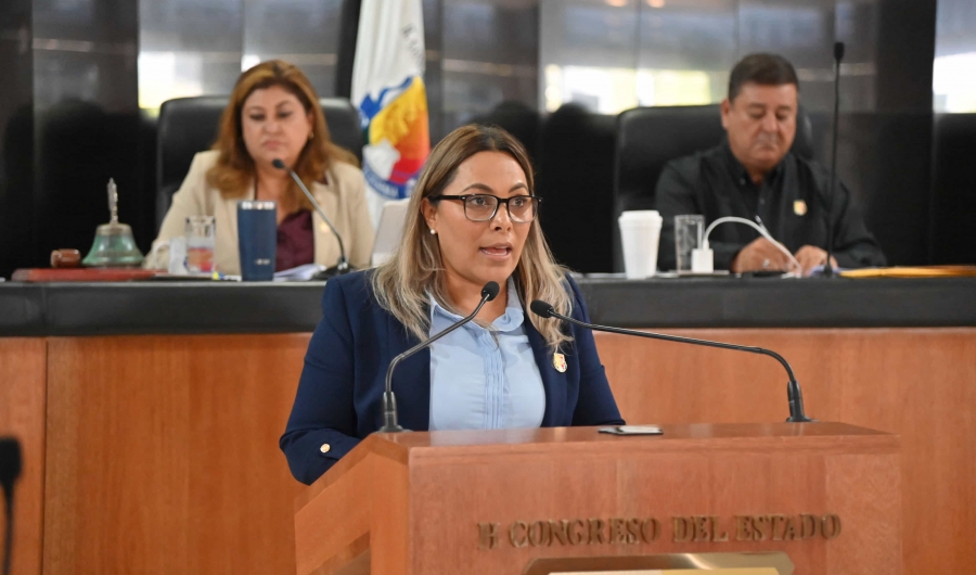 Cartilla de Derechos de las Mujeres visibiliza retos en igualdad: Diputada Lourdes Cornejo...