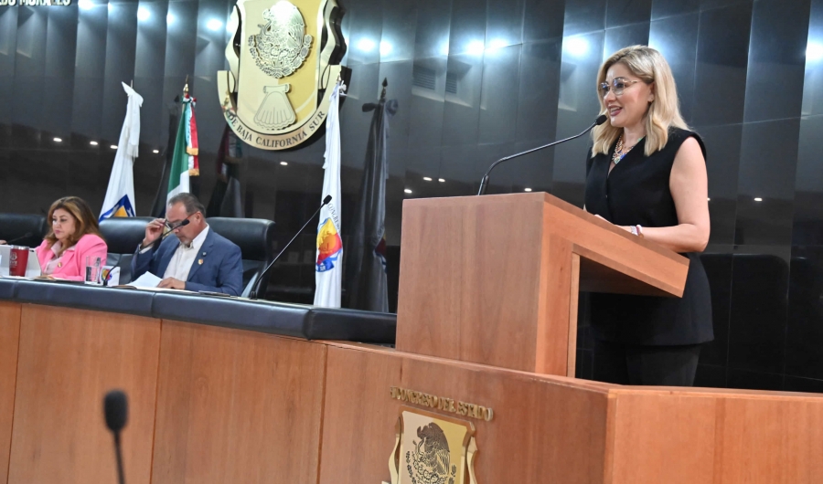 Busca diputada Karina Olivas tipificar en el Código Penal el delito de robo de vehículo arrendado...