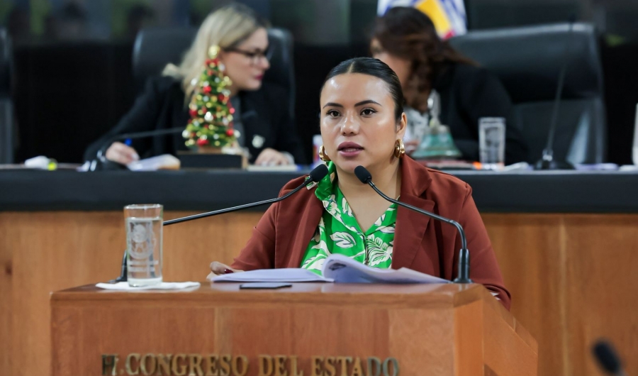 Aprueban presupuesto y Ley de Ingresos del Gobierno del Estado de BCS 2026...