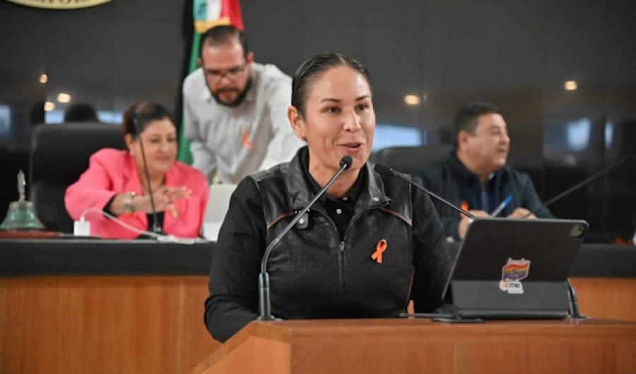 Aprueban exhortar al PJEBCS implemente Juzgados Especializados en Órdenes de Protección Victimal en Los Cabos, Comondú, Loreto y Mulegé   ...