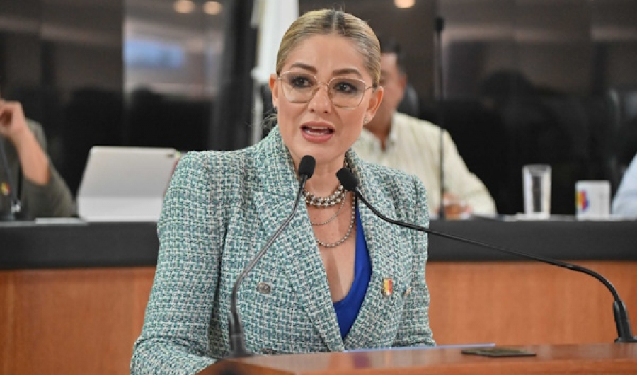 Impulsa diputada Karina Olivas reforma en favor de personas en situación de calle  ....