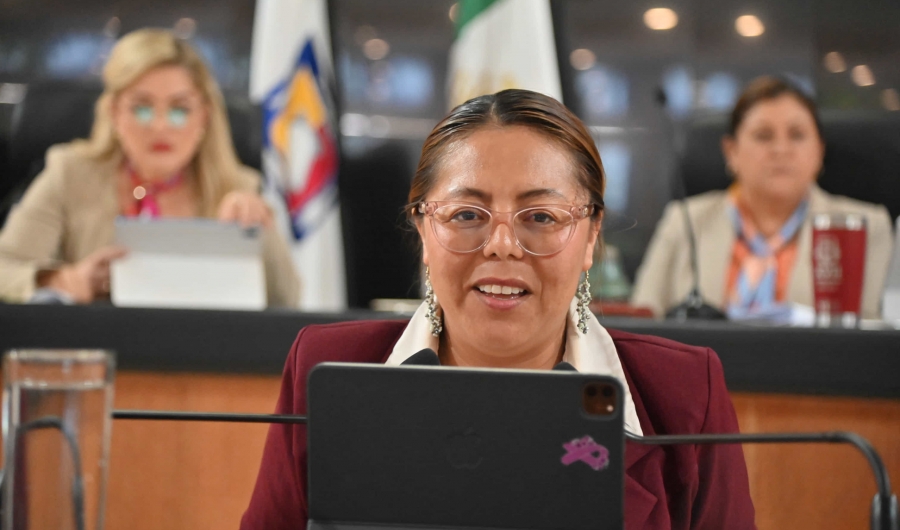 Urge adecuar una asignatura, en prevención de delitos cibernéticos y seguridad digital: Diputada Teresita Valentín...