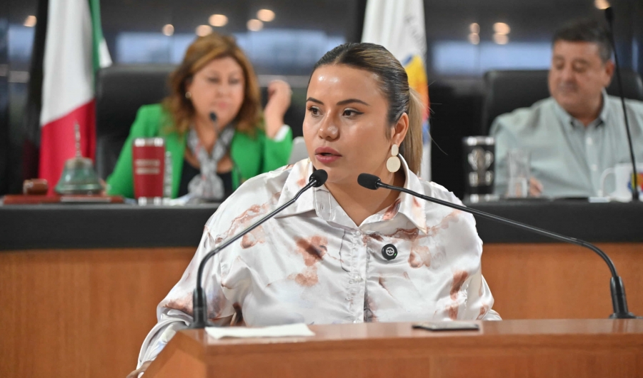 Exhortan al Congreso de la Unión expida la Ley General en Materia de Bienestar, Cuidado y Protección de los Animales...