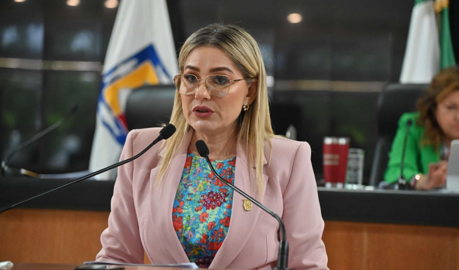 Propone Diputada Karina Olivas la creación de la Ley de Protección a la Salud Bucal para el Estado de BCS...