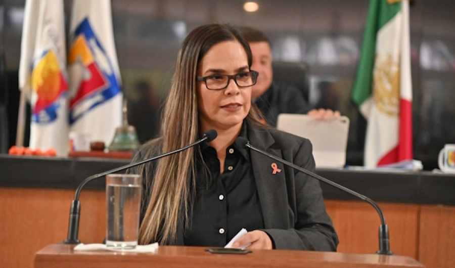 Impulsa diputada Gabriela Montoya iniciativa para tipificar delito de violencia de género en BCS   ...