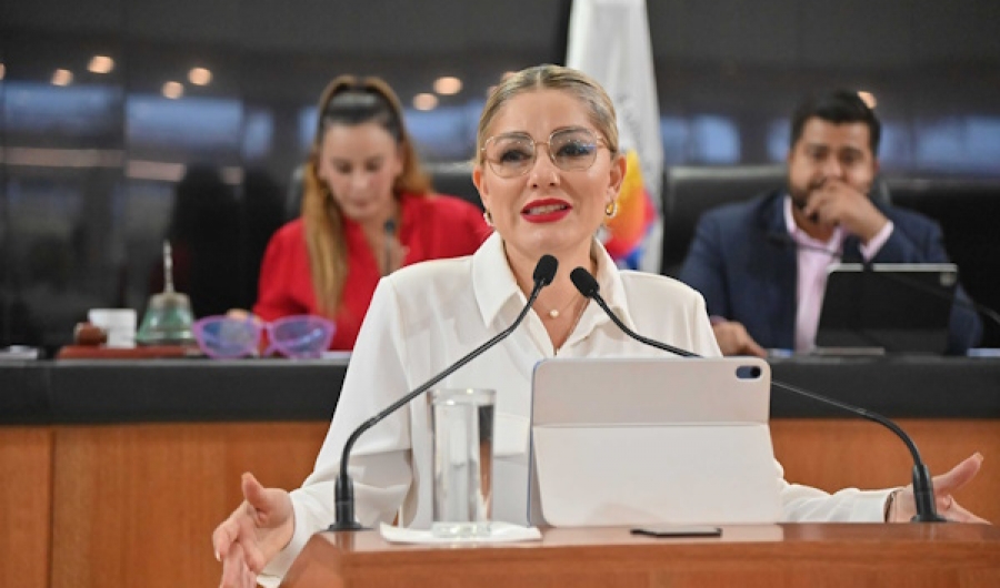Propone diputada Karina Olivas que se tipifique el delito de turismo sexual en BCS   ...