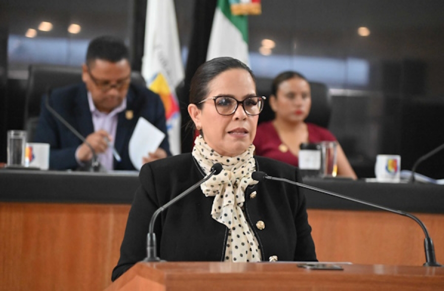 Aprueban remitir iniciativa al Congreso de la Unión para incorporar a la Ley General de Salud la atención integral de la epilepsia ...