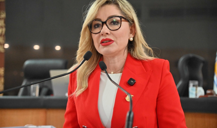 Impulsa Karina Olivas cumplimiento de la “Ley Silla” en BCS; Congreso exige inspecciones para proteger la salud laboral...