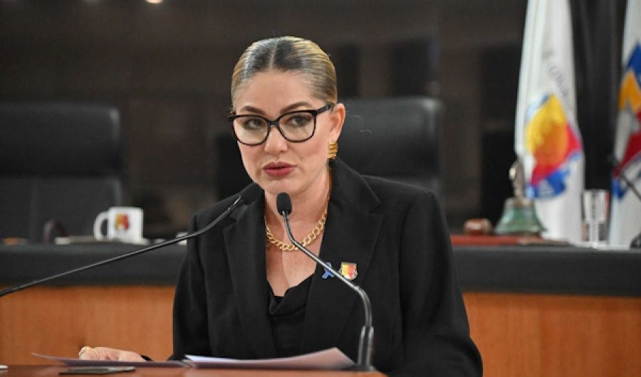 Propone diputada Karina Olivas establecer en la ley la prevención del cáncer de próstata   ....