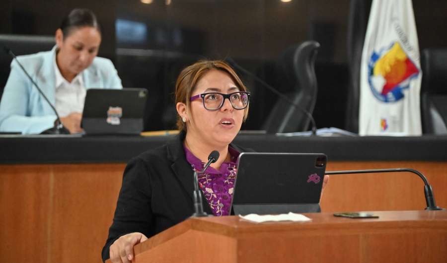 Propone diputada Teresita Valentín armonización de uso seguro de internet para NNA...
