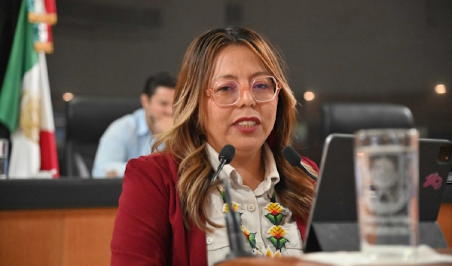 Que transporte de doble remolque circulen sólo en horarios nocturnos propone la diputada Teresita Valentín  ...